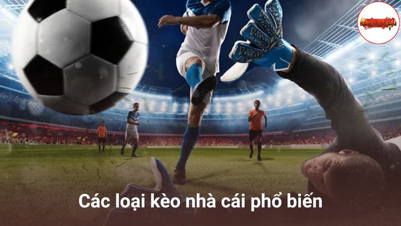 Các loại kèo nhà cái phổ biến nhất