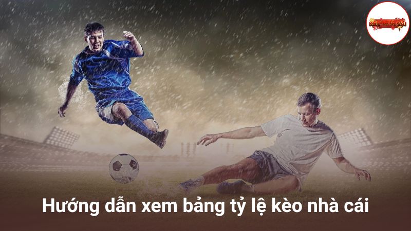 Hướng dẫn nhanh cách đọc kèo nhà cái cho người mới